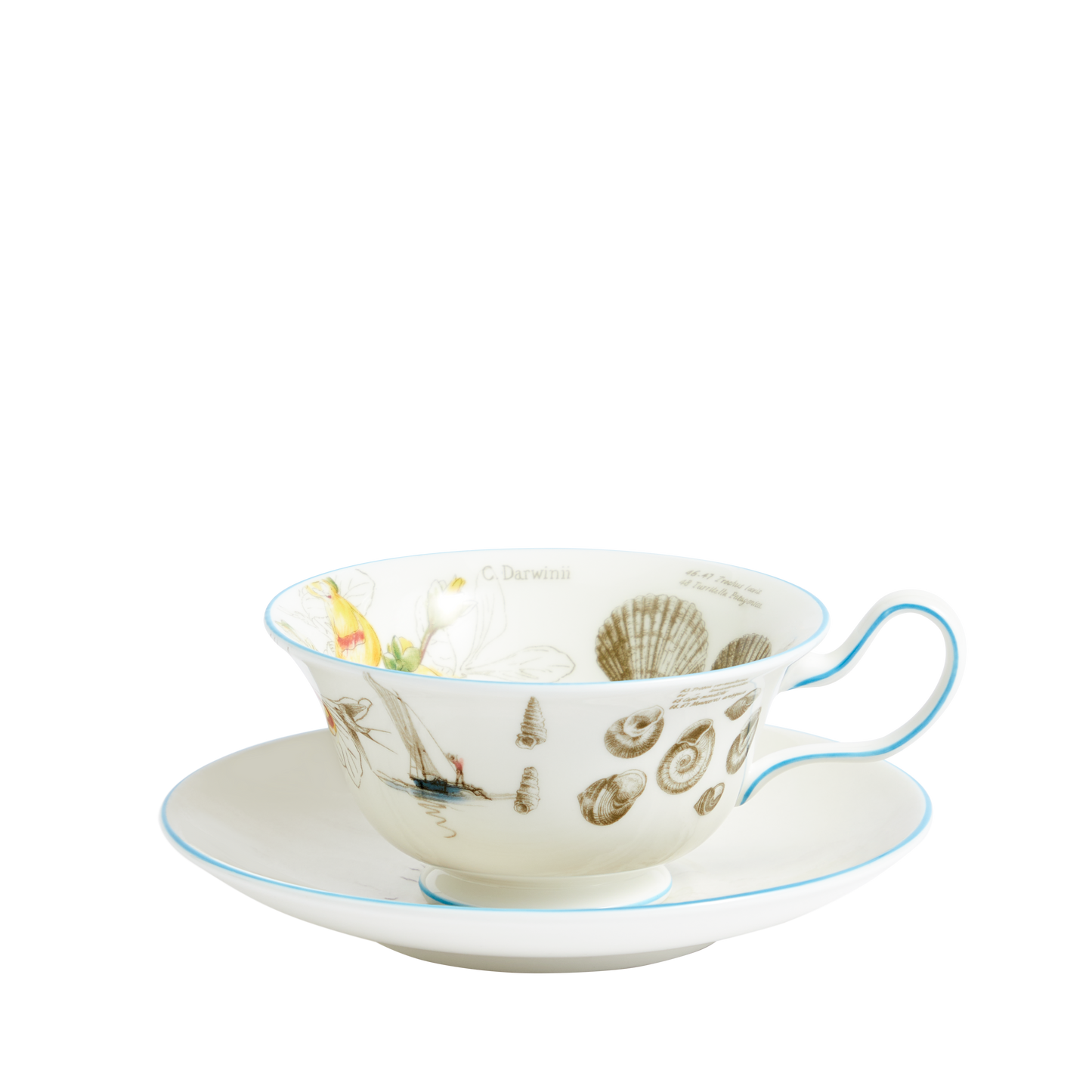 Darwin's Voyage of the Beagle: Patagonia- 3 piece tea set