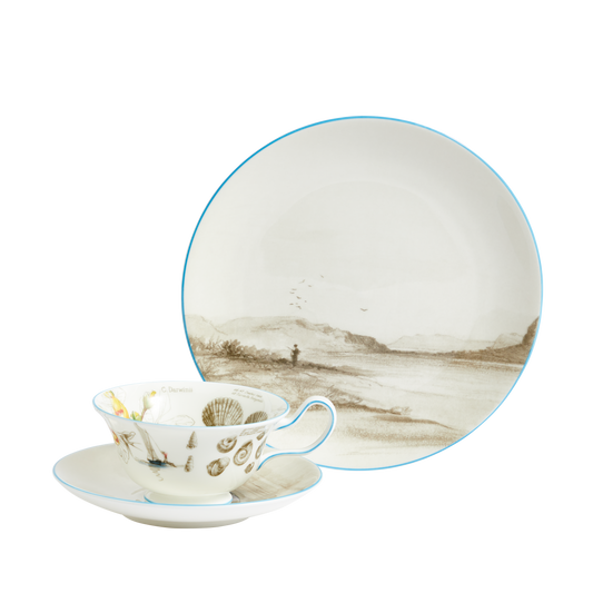 Darwin's Voyage of the Beagle: Patagonia- 3 piece tea set