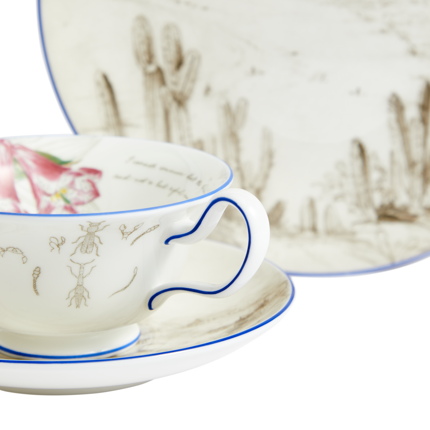 Darwin's Voyage of the Beagle: Chile - 3 piece tea set