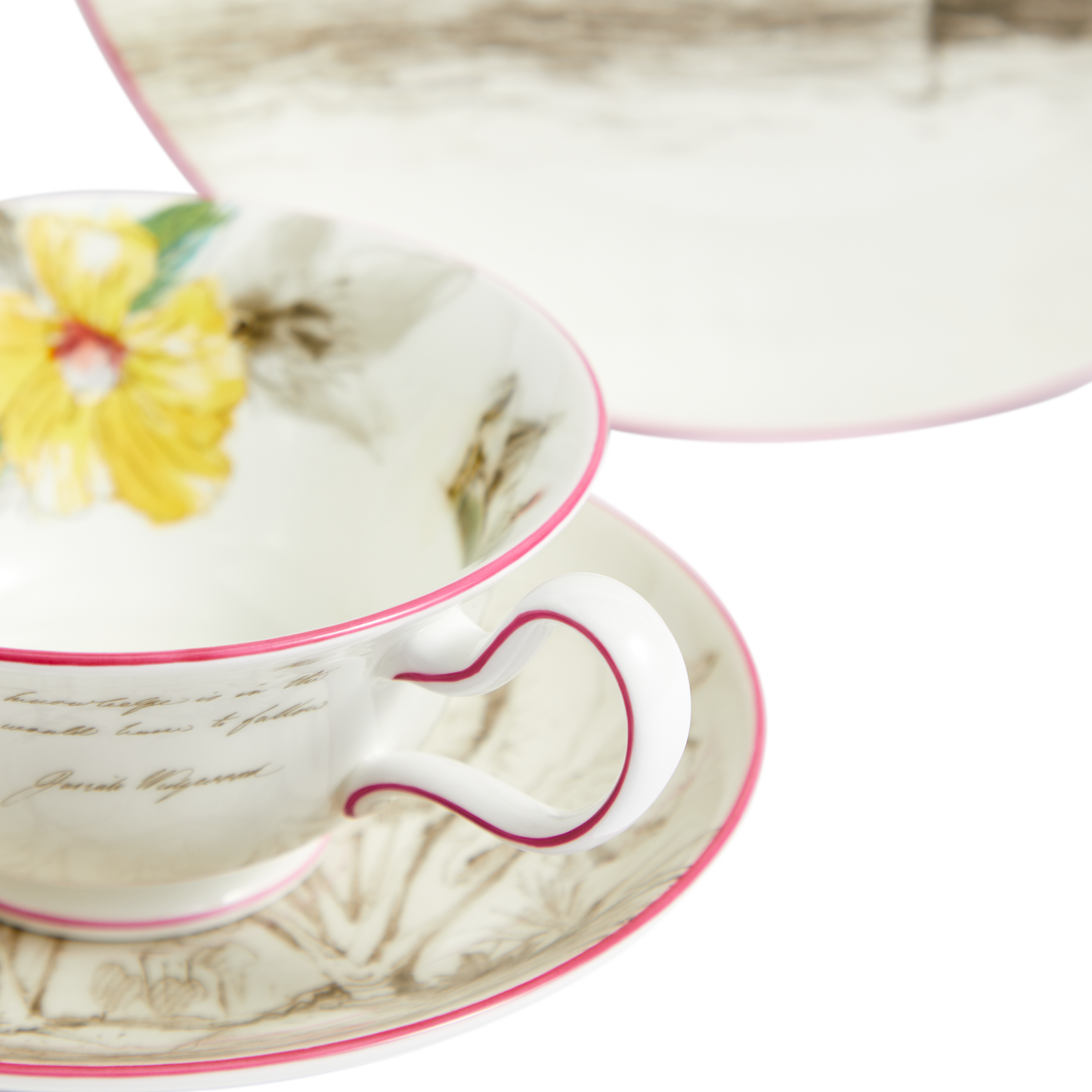 Darwin's Voyage of the Beagle: Galapagos Islands- 3 piece tea set