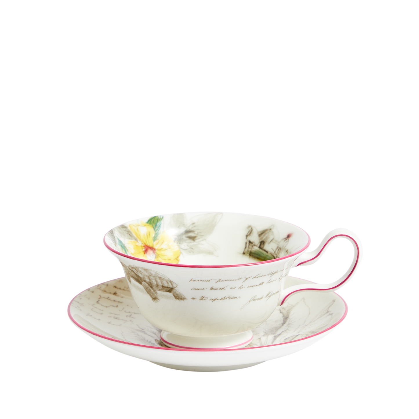Darwin's Voyage of the Beagle: Galapagos Islands- 3 piece tea set