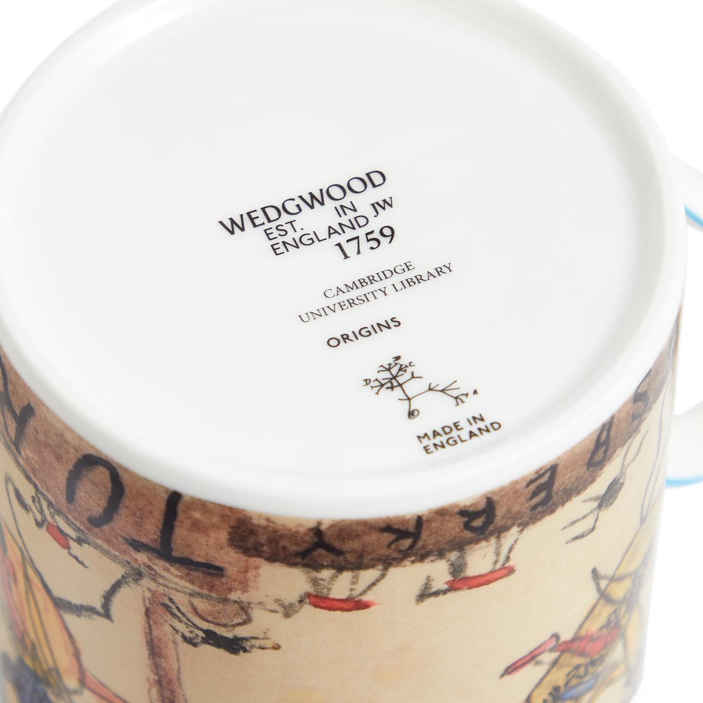 Darwin's Origins - Bone china mug (large)