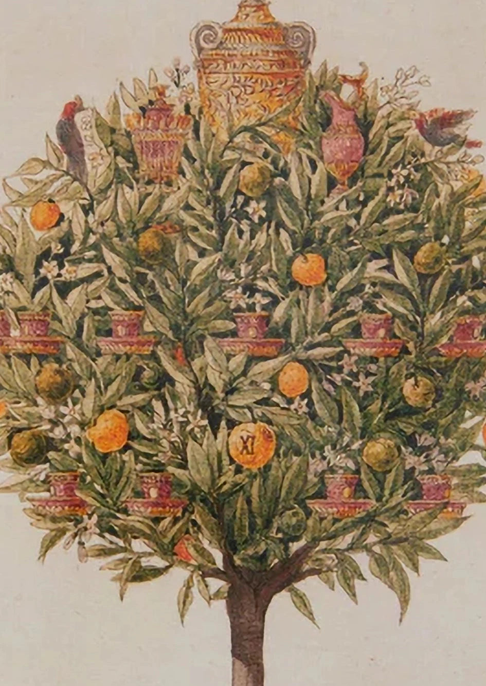 An Orange Tree - Christmas card pack
