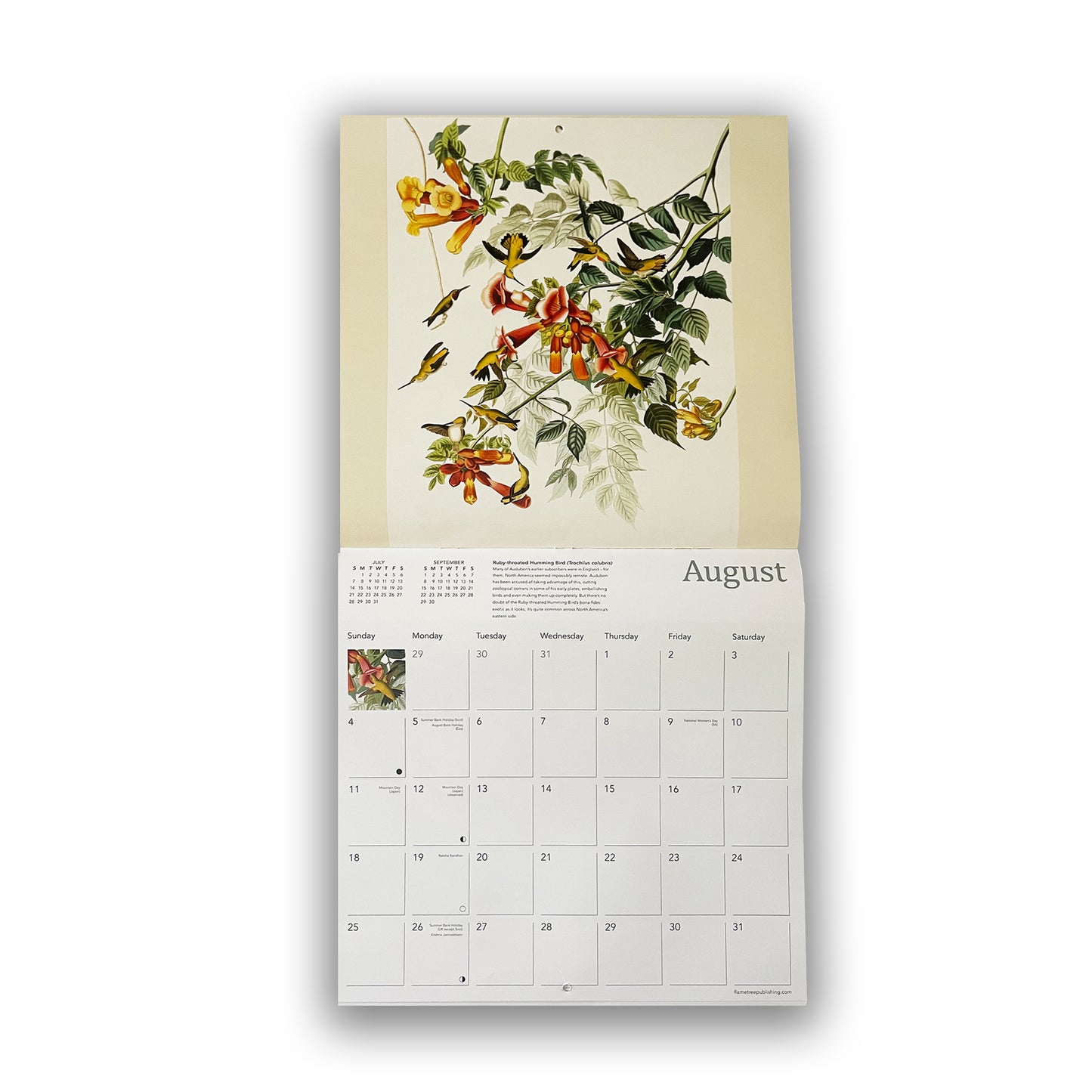 Audubon's Birds - 2024 wall calendar