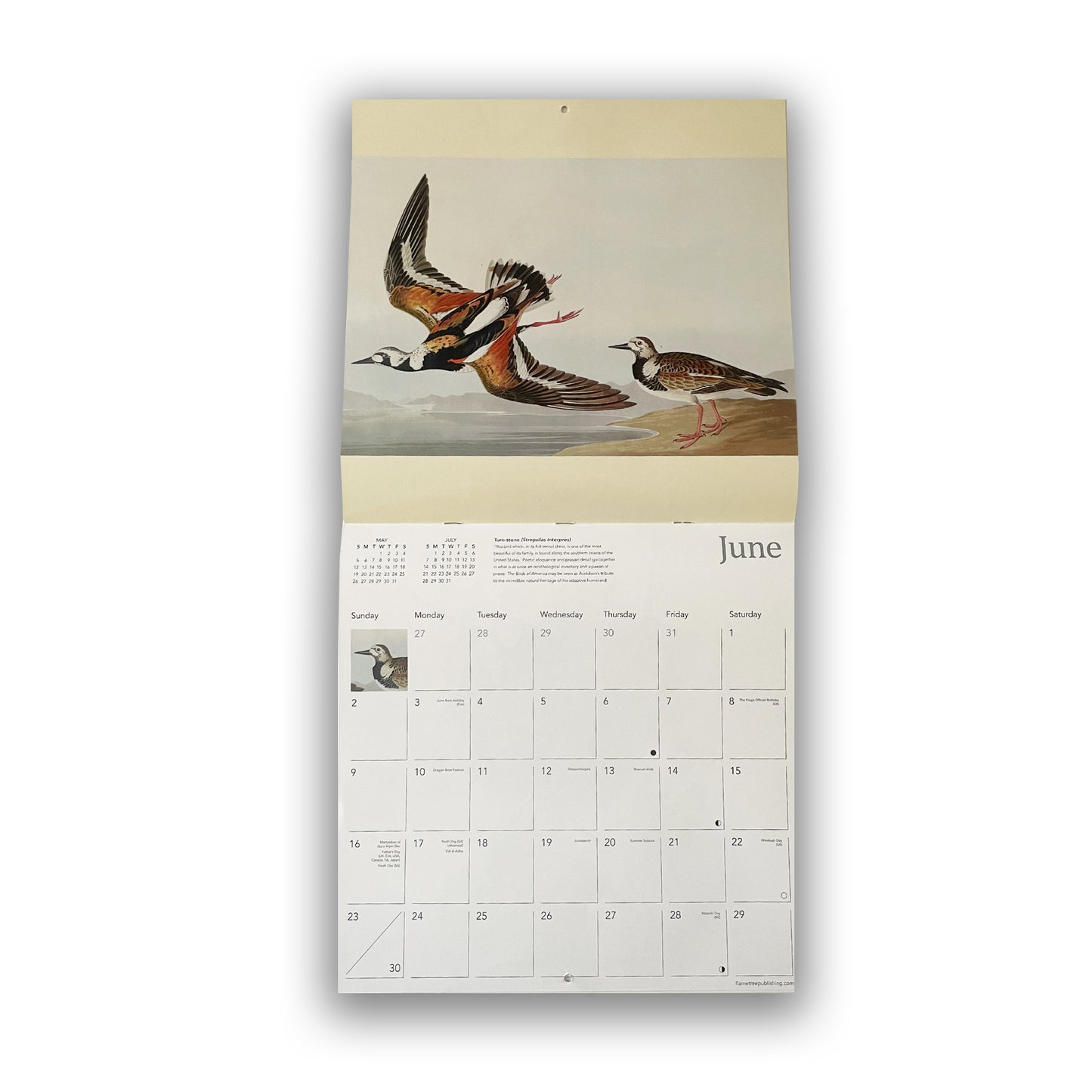 Audubon's Birds - 2024 wall calendar