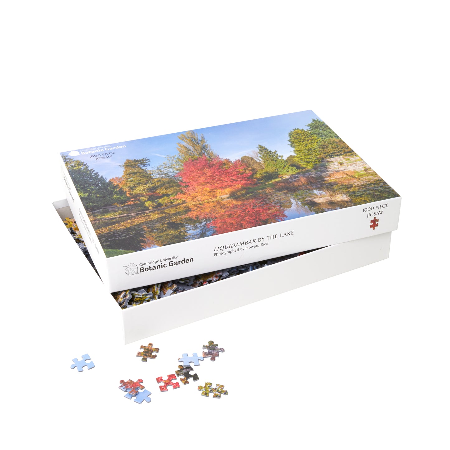 Liquidambar by the Lake - 1000 piece jigsaw puzzle