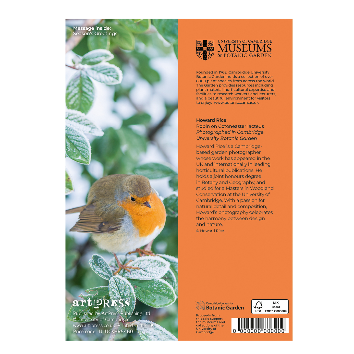 Robin on Cotoneaster lacteus - Christmas card wallet