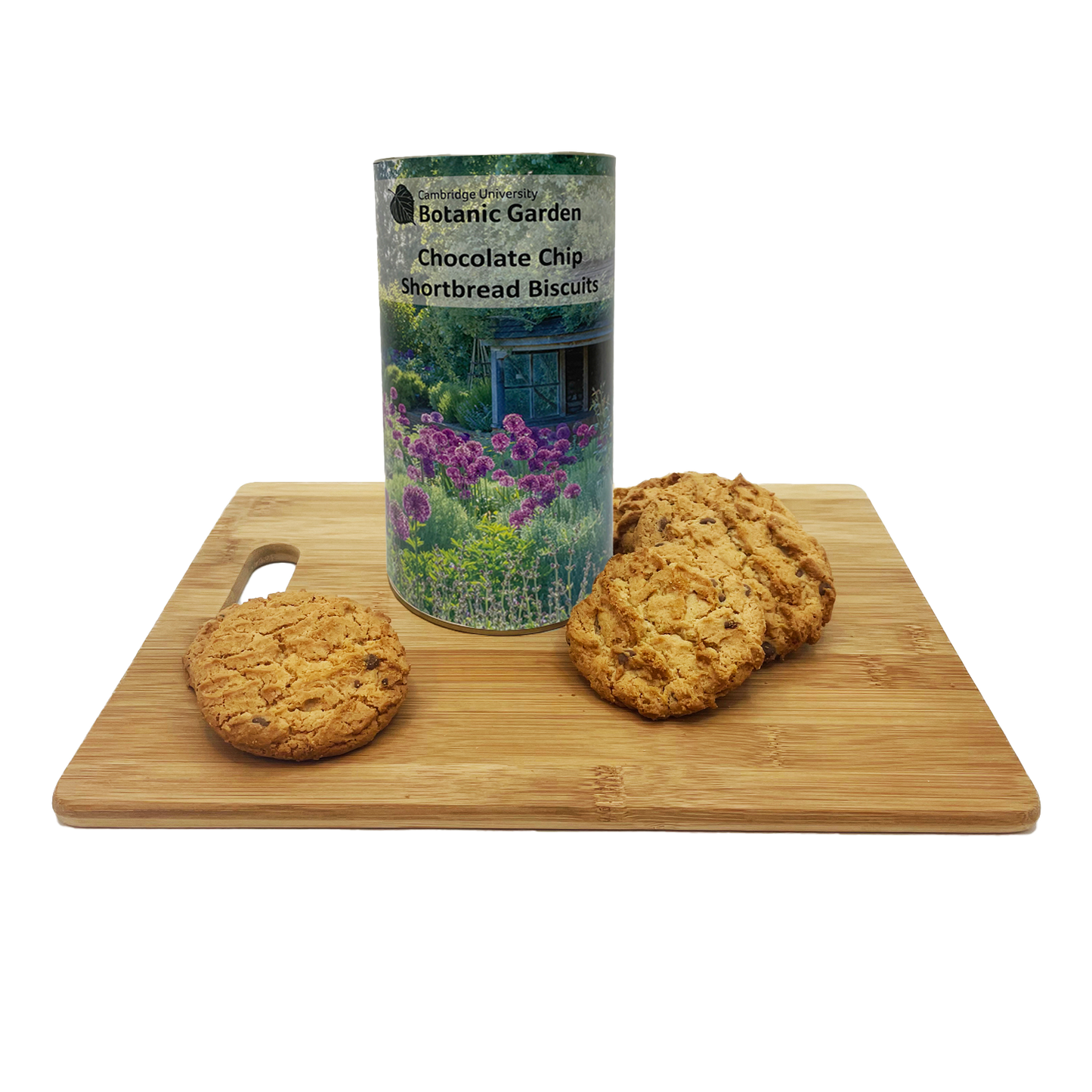 Botanic Garden Biscuit Drum - Alliums