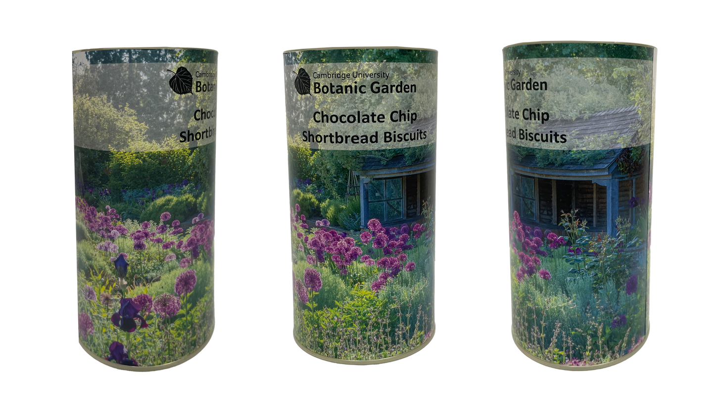 Botanic Garden Biscuit Drum - Alliums