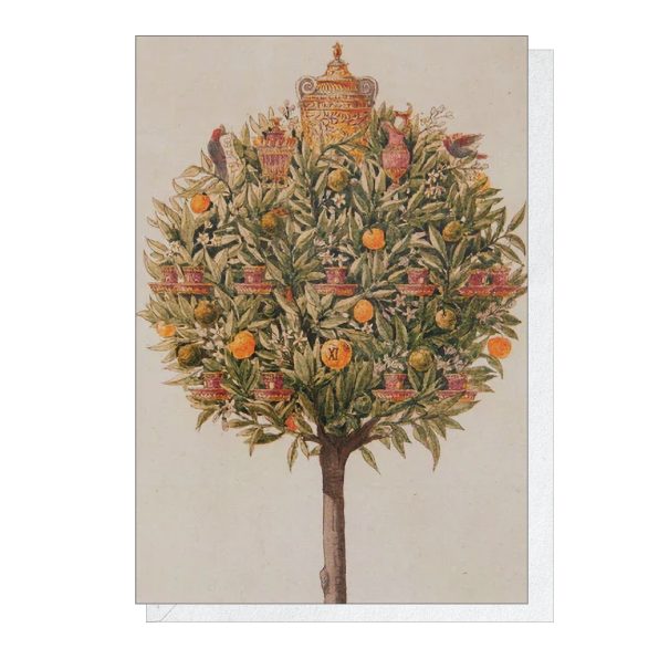 An Orange Tree - Christmas card pack