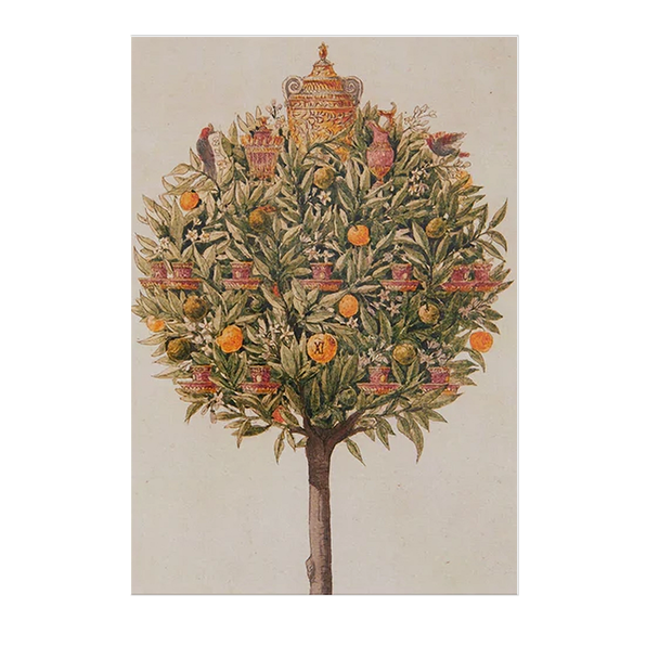 An Orange Tree - Christmas card pack