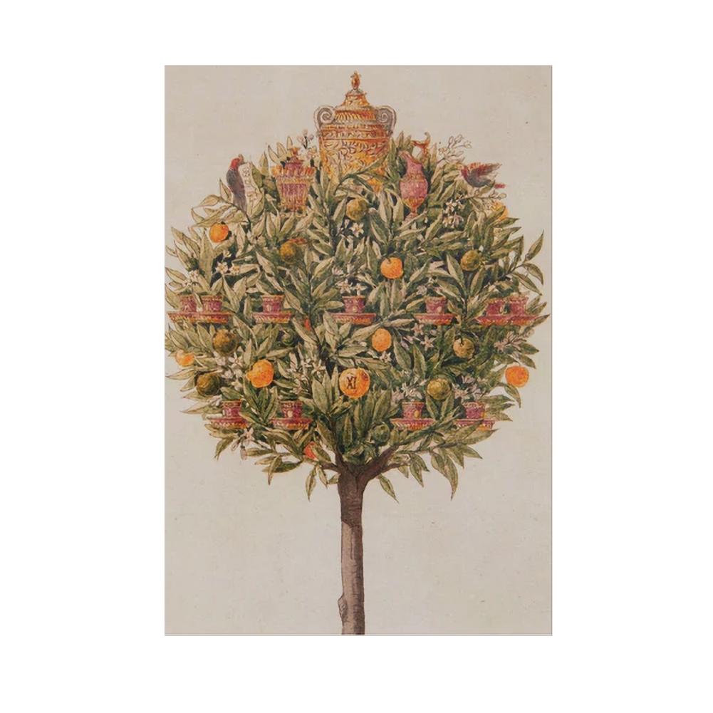 An Orange Tree - Christmas card pack