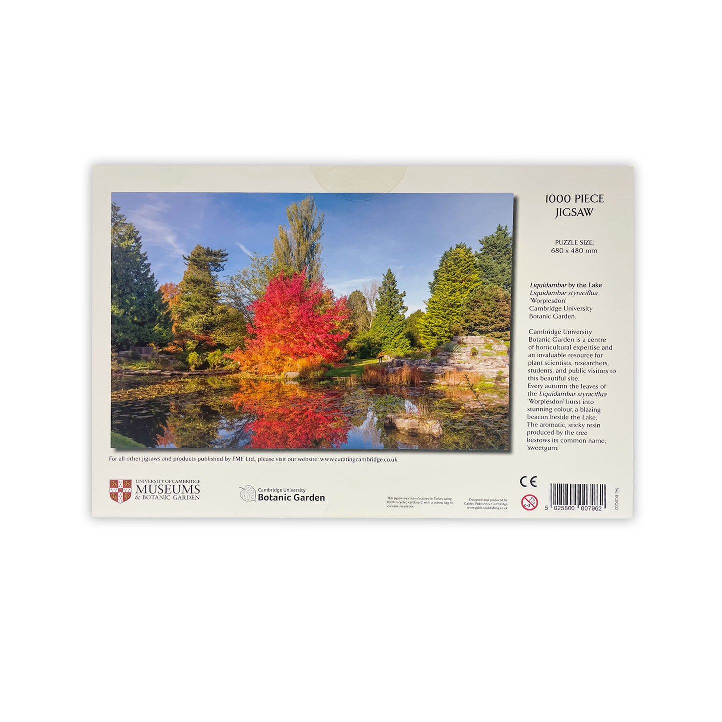 Liquidambar by the Lake - 1000 piece jigsaw puzzle