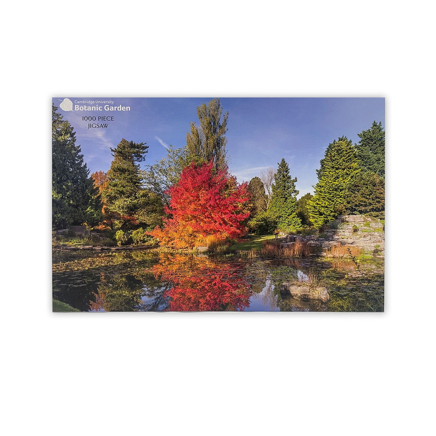 Liquidambar by the Lake - 1000 piece jigsaw puzzle