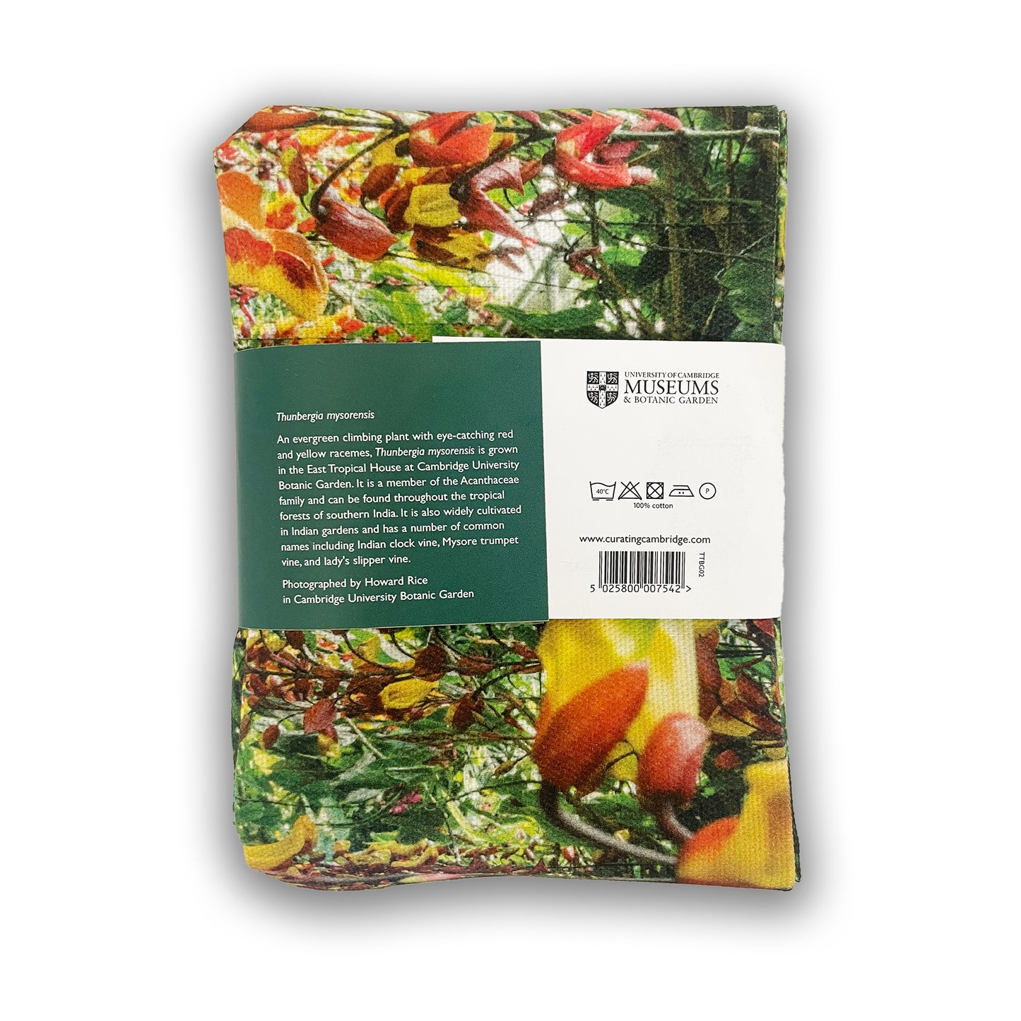 Thunbergia mysorensis - Tea towel