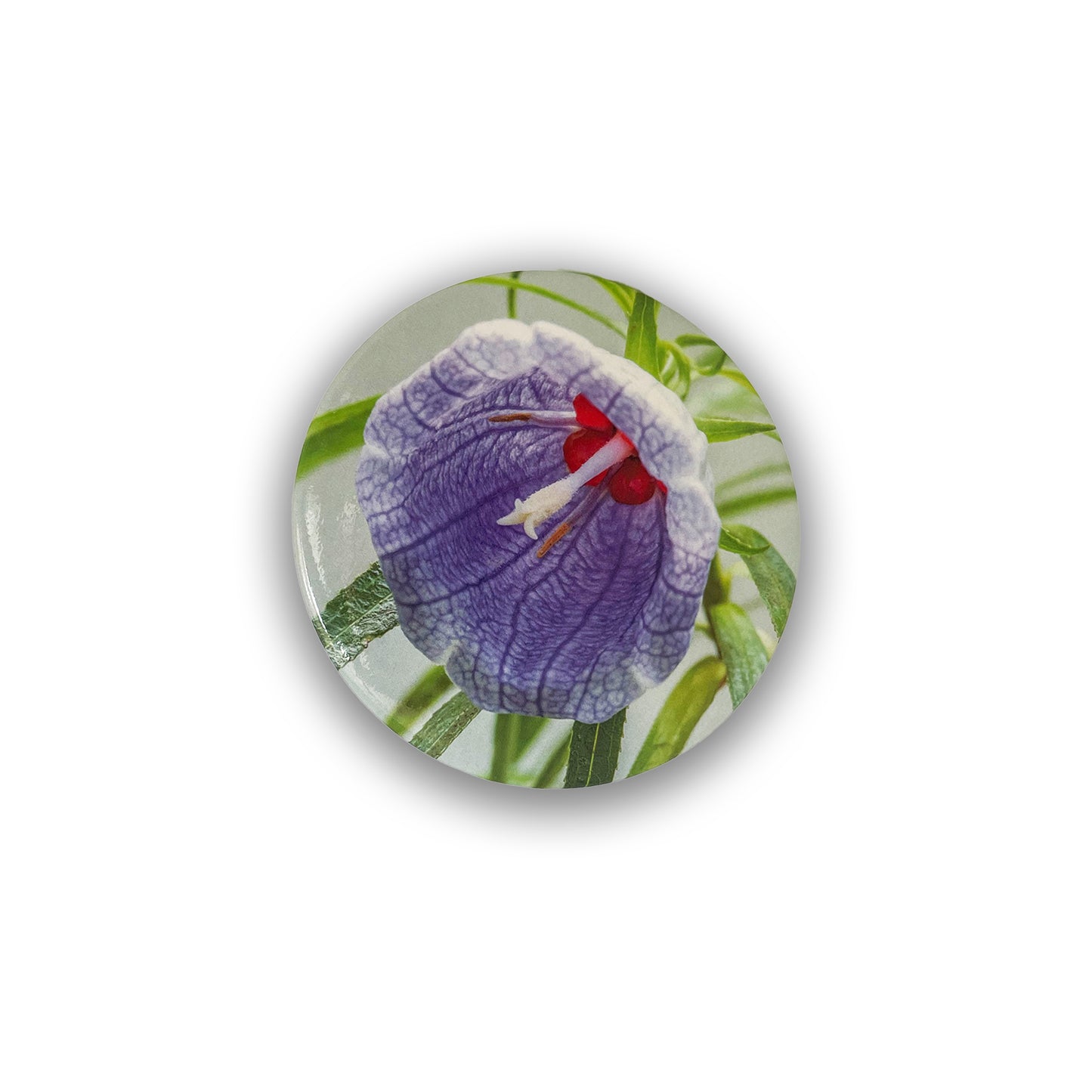 Nesocodon mauritianus - Pocket Mirror