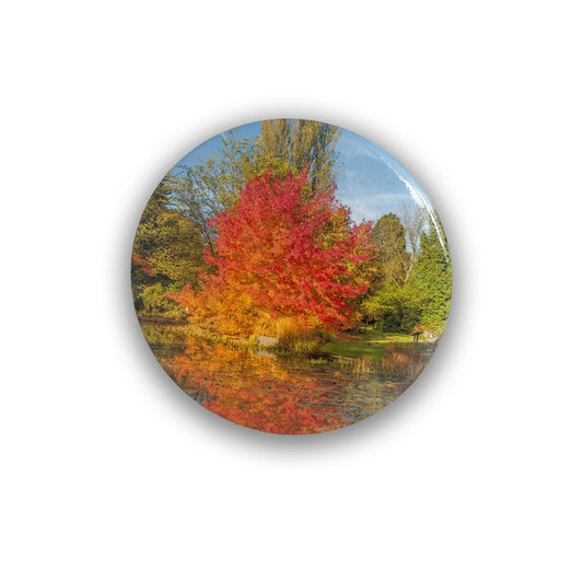 Sweetgum Tree - Pocket Mirror