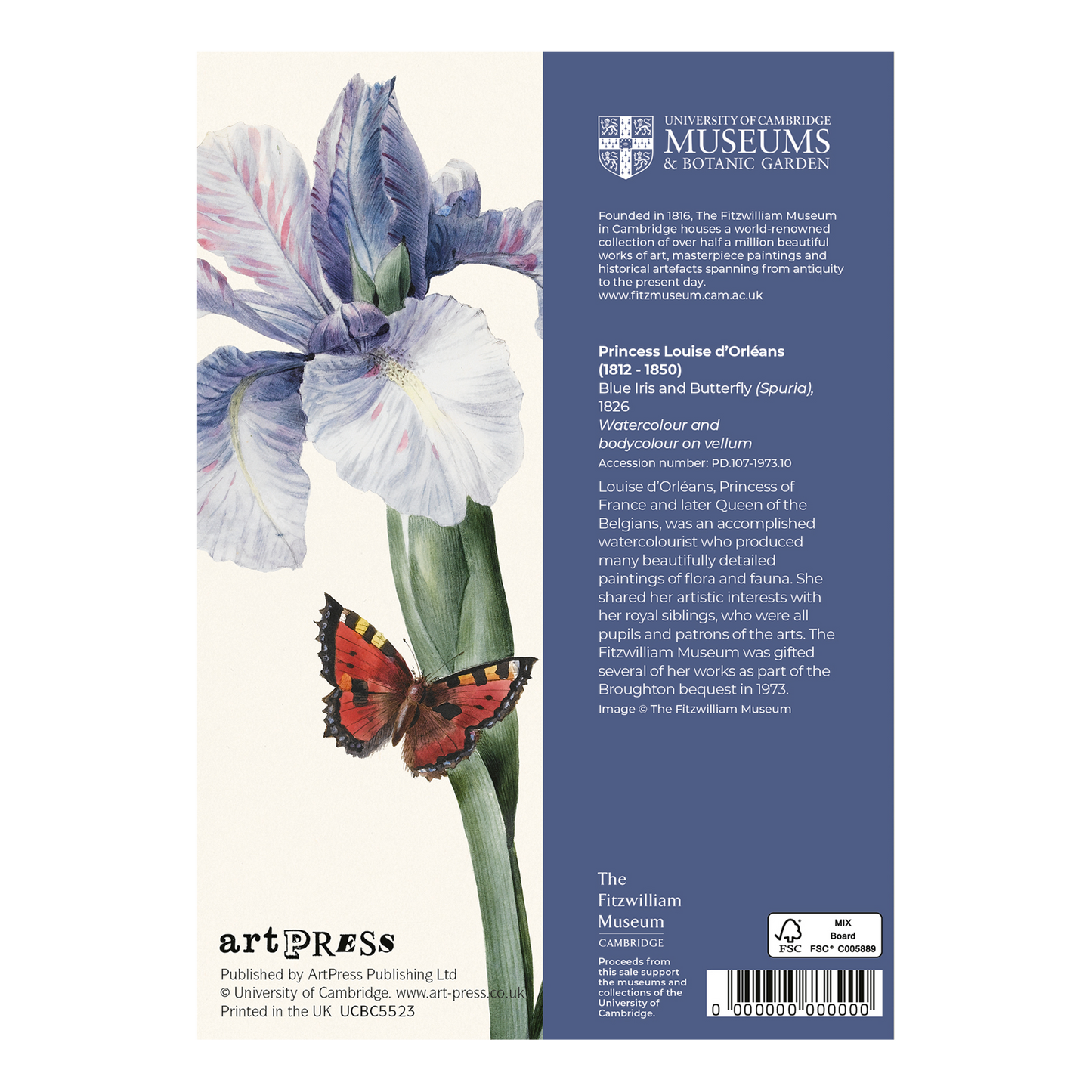 Blue Iris and Butterfly - Greeting card