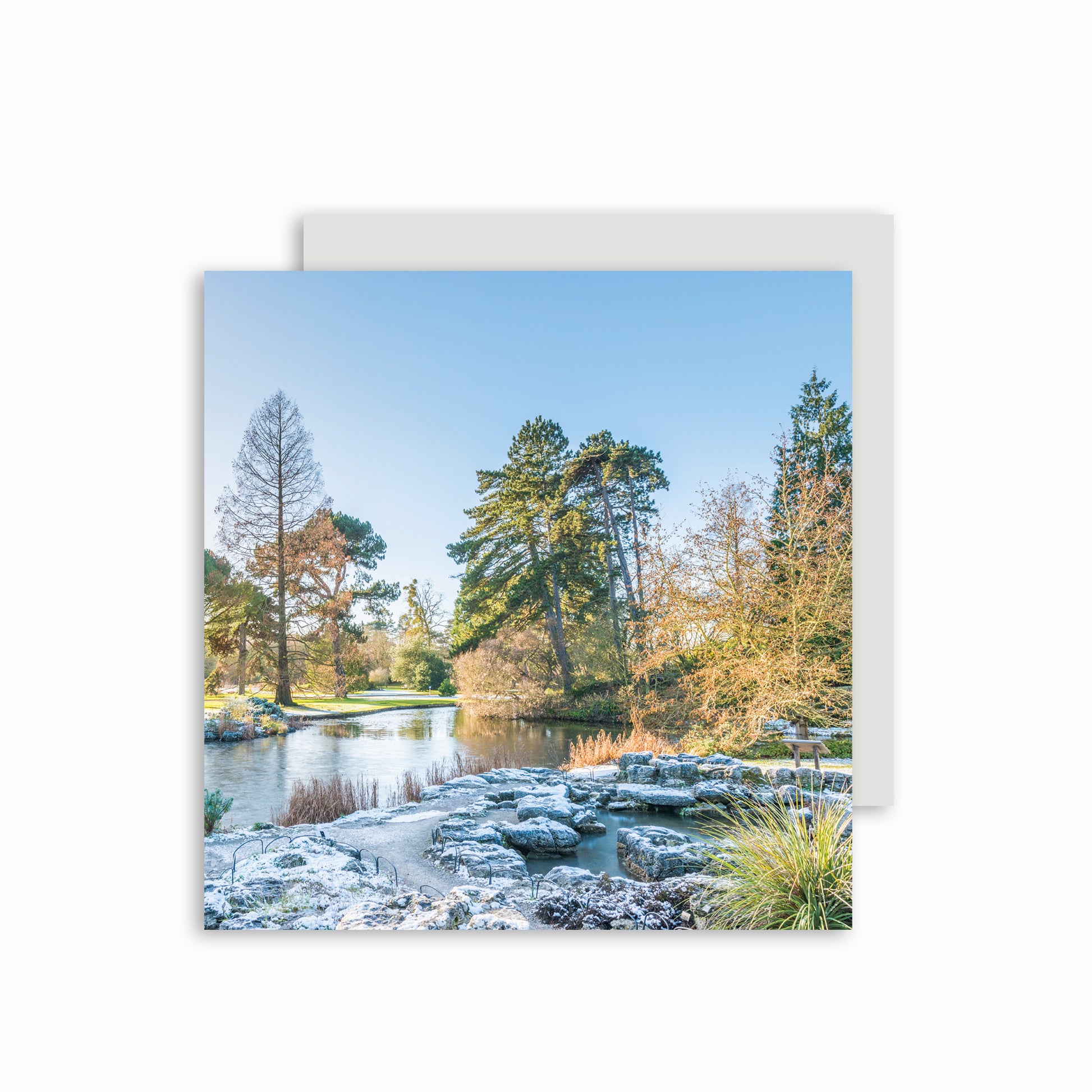 Christmas card featuring image of the Lake and Rock Garden with snow at the Botanic Garden Cambridge.