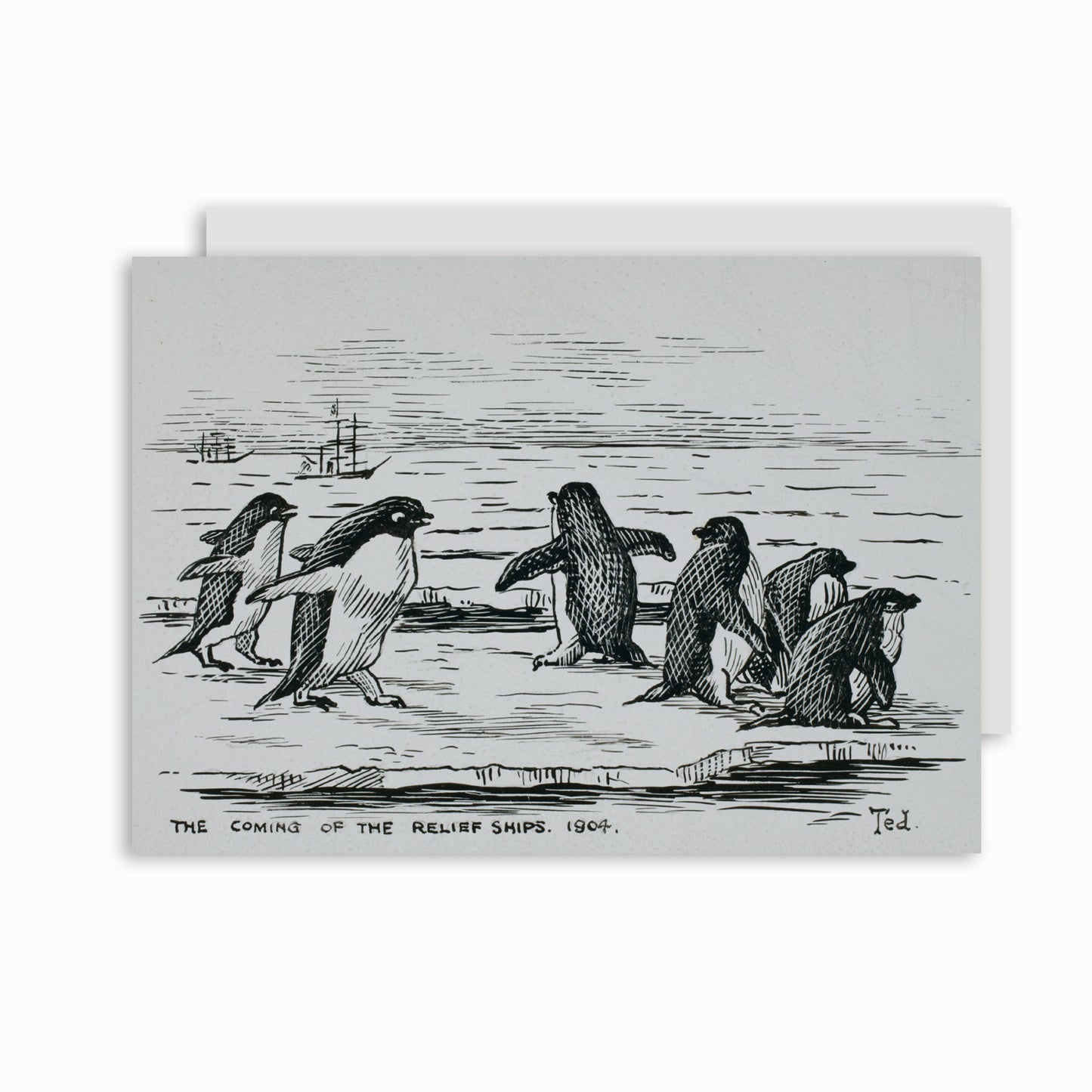 Christmas card with penguin illustration