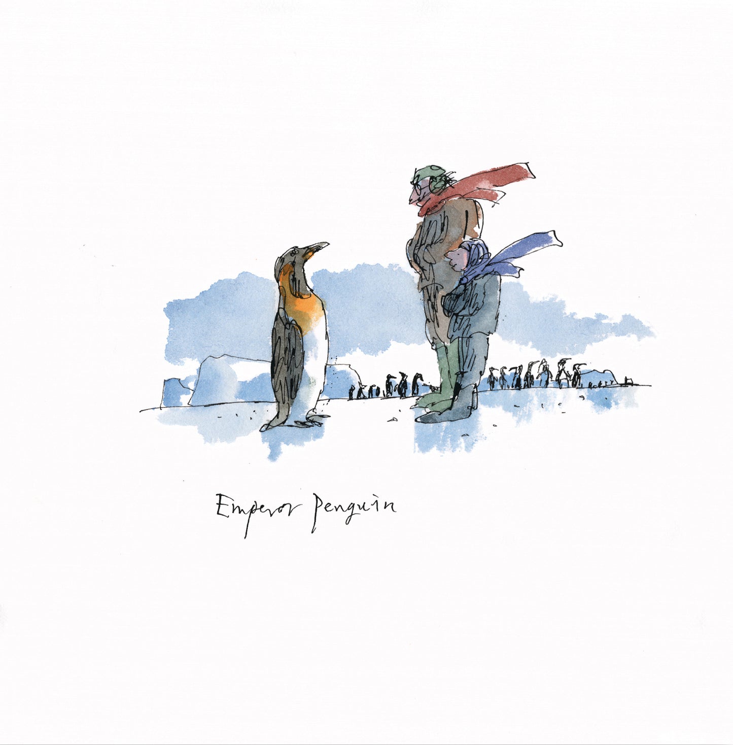 Emperor Penguin by Quentin Blake - Christmas card pack