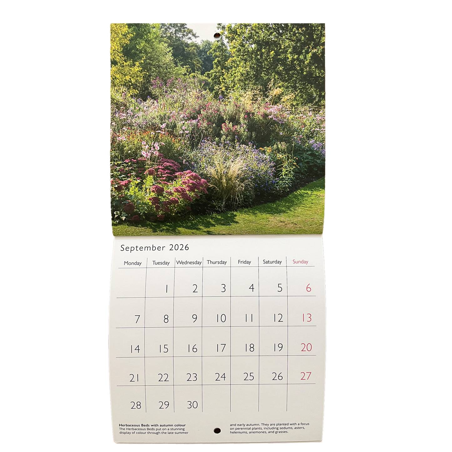 Cambridge University Botanic Garden - Mini calendar 2026