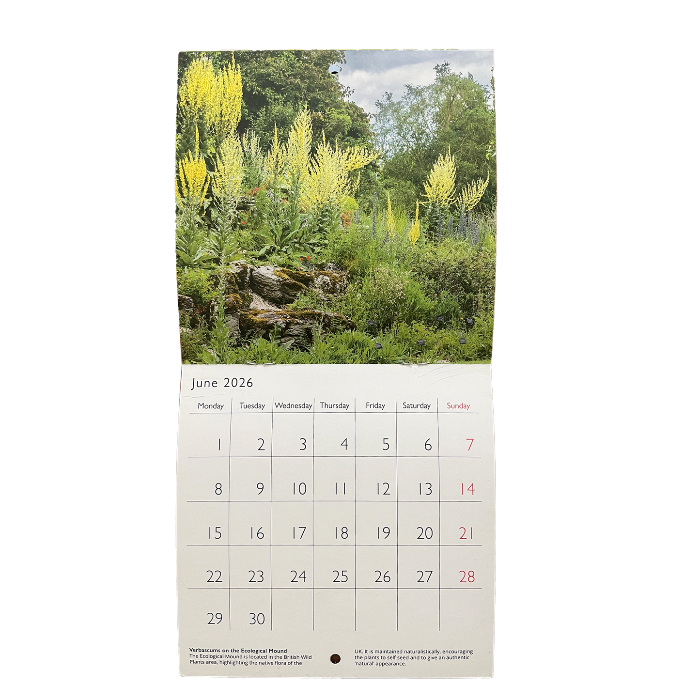Cambridge University Botanic Garden - Mini calendar 2026