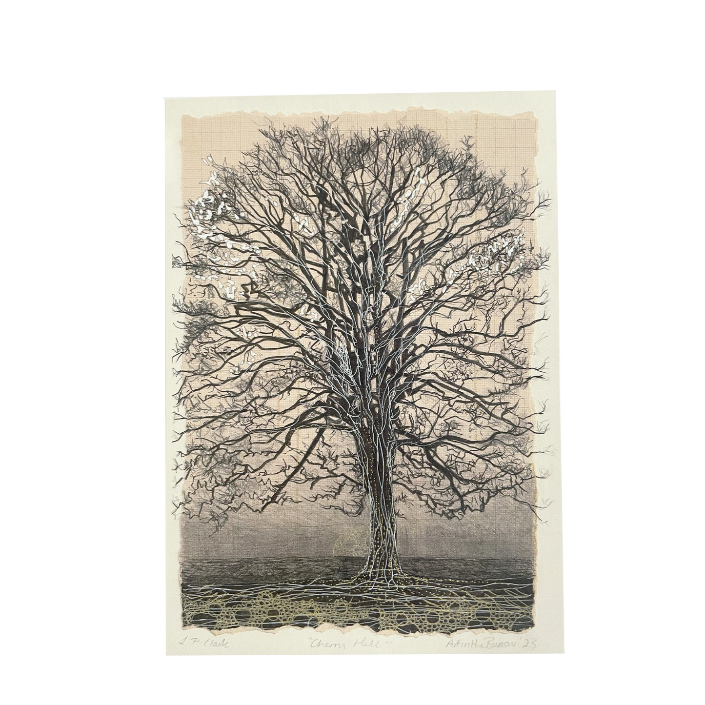 Cherry Hill - Greeting card