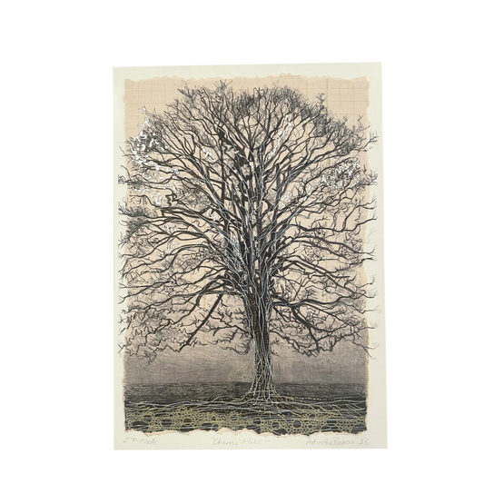 Cherry Hill - Greeting card