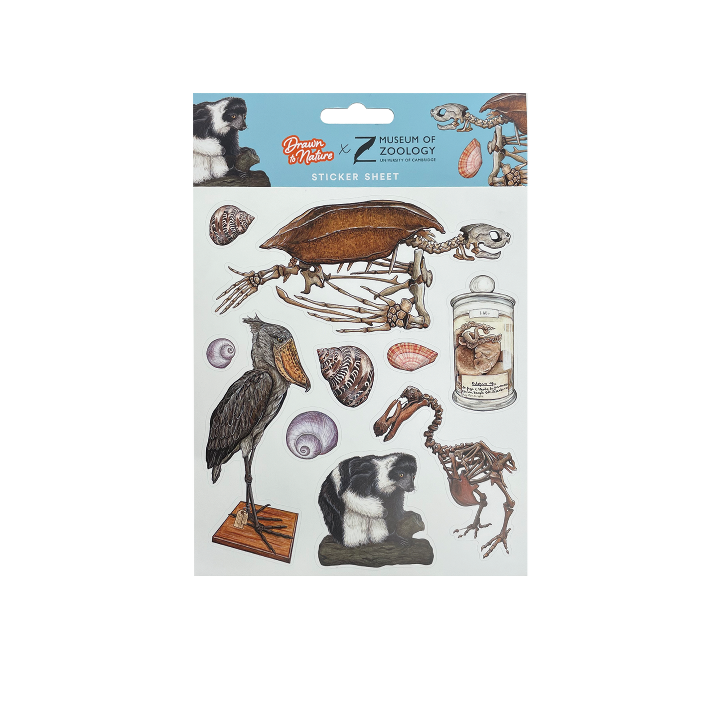 Zoology Animals - Sticker sheet