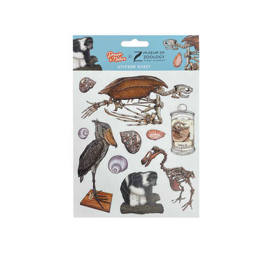 Zoology Animals - Sticker sheet