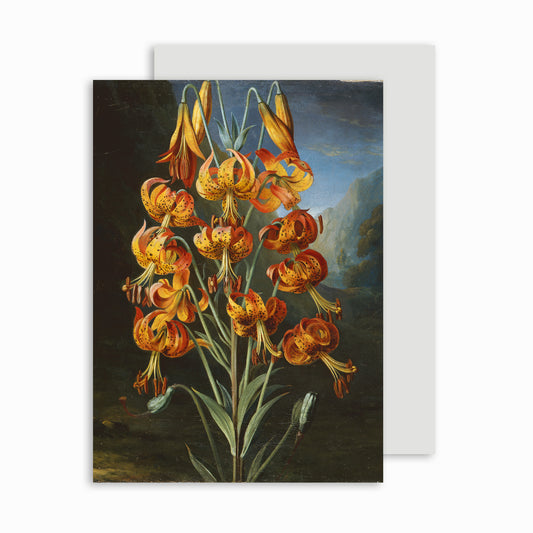 Lilium Superbum - Greeting card