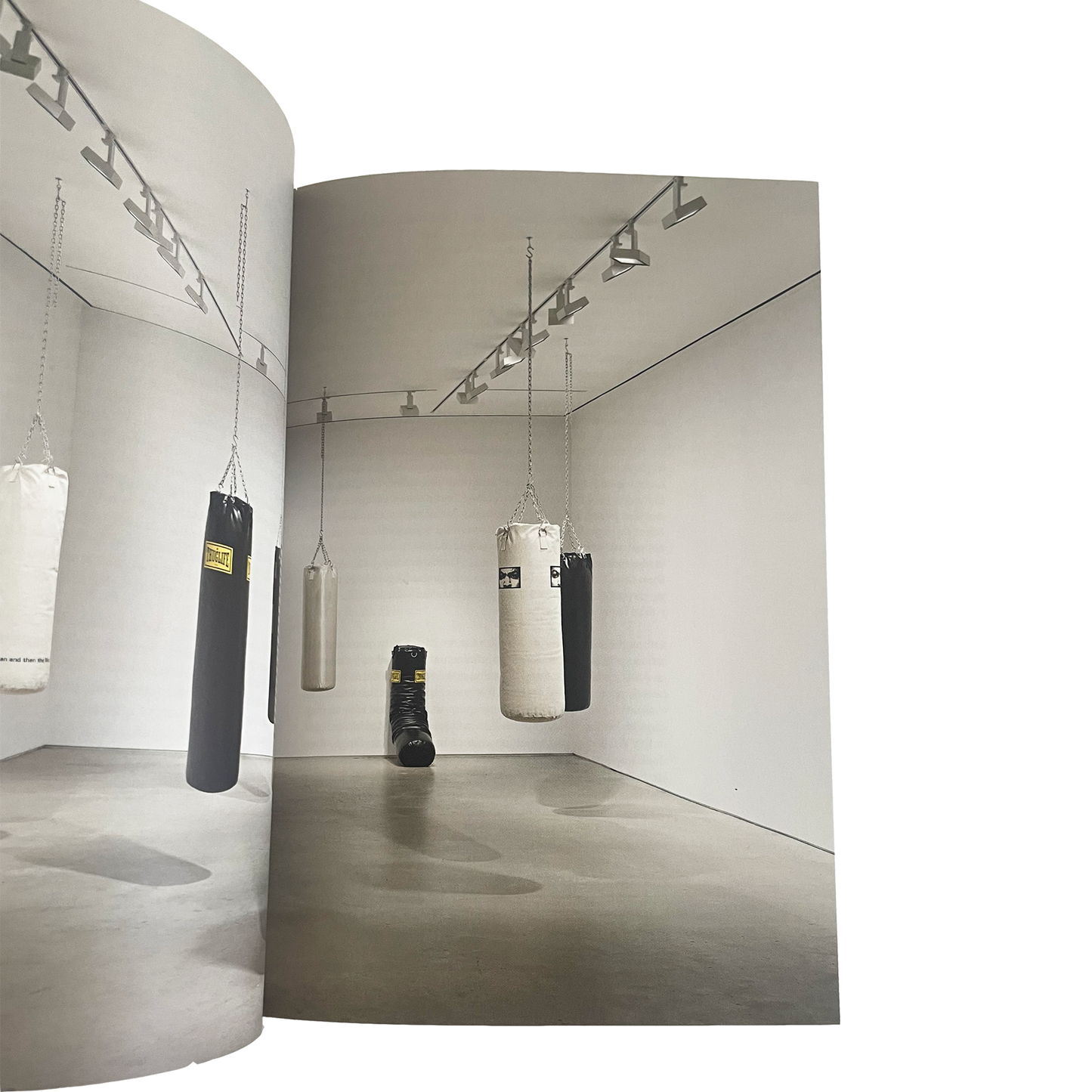 Glenn Ligon: All Over the Place - Exhibition catalogue