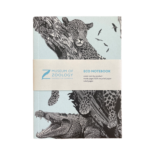 Sleeping Leopard - Eco Notebook
