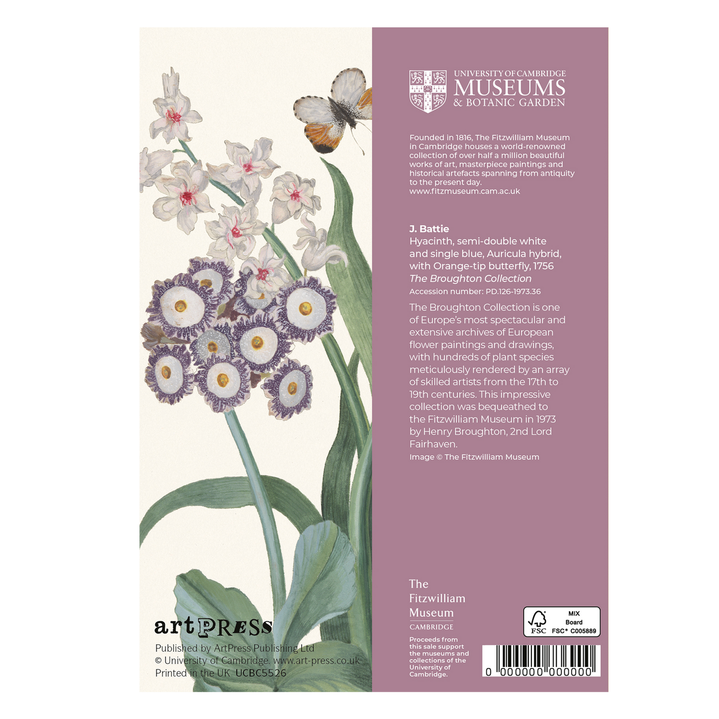 Hyacinth, Auricula, and Orange-tip Butterfly - Greeting card