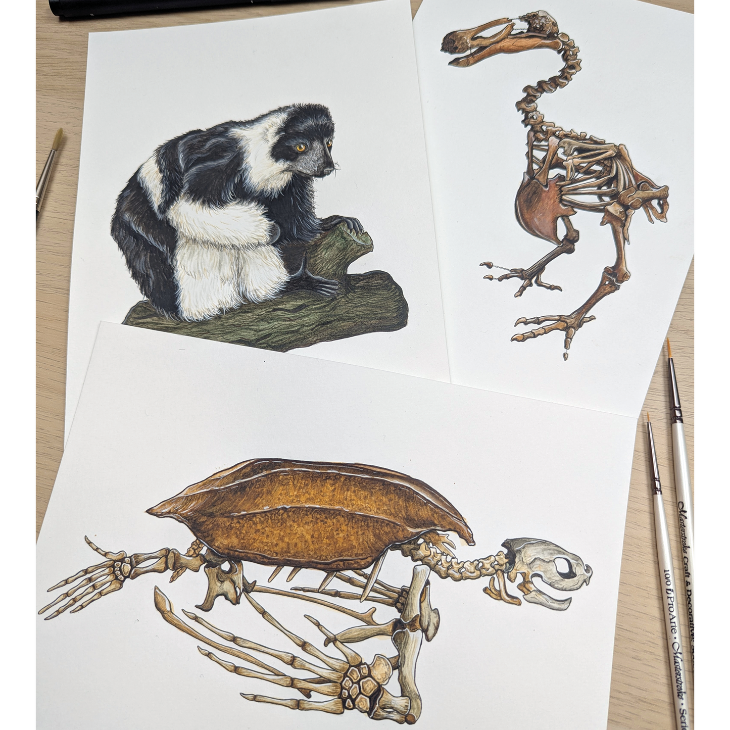 Zoology Animals - A4 print