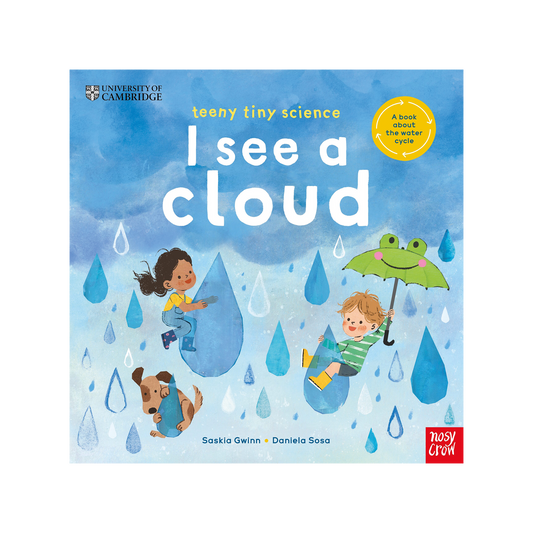 Teeny Tiny Science: I See a Cloud