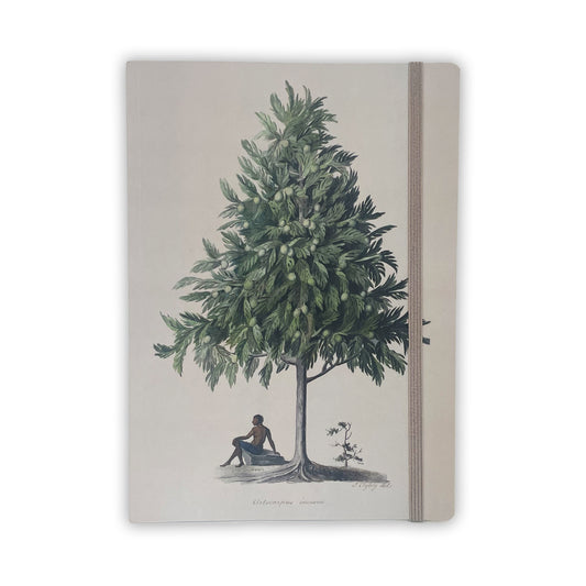 Watercolour of a Breadfruit Tree - A5 journal