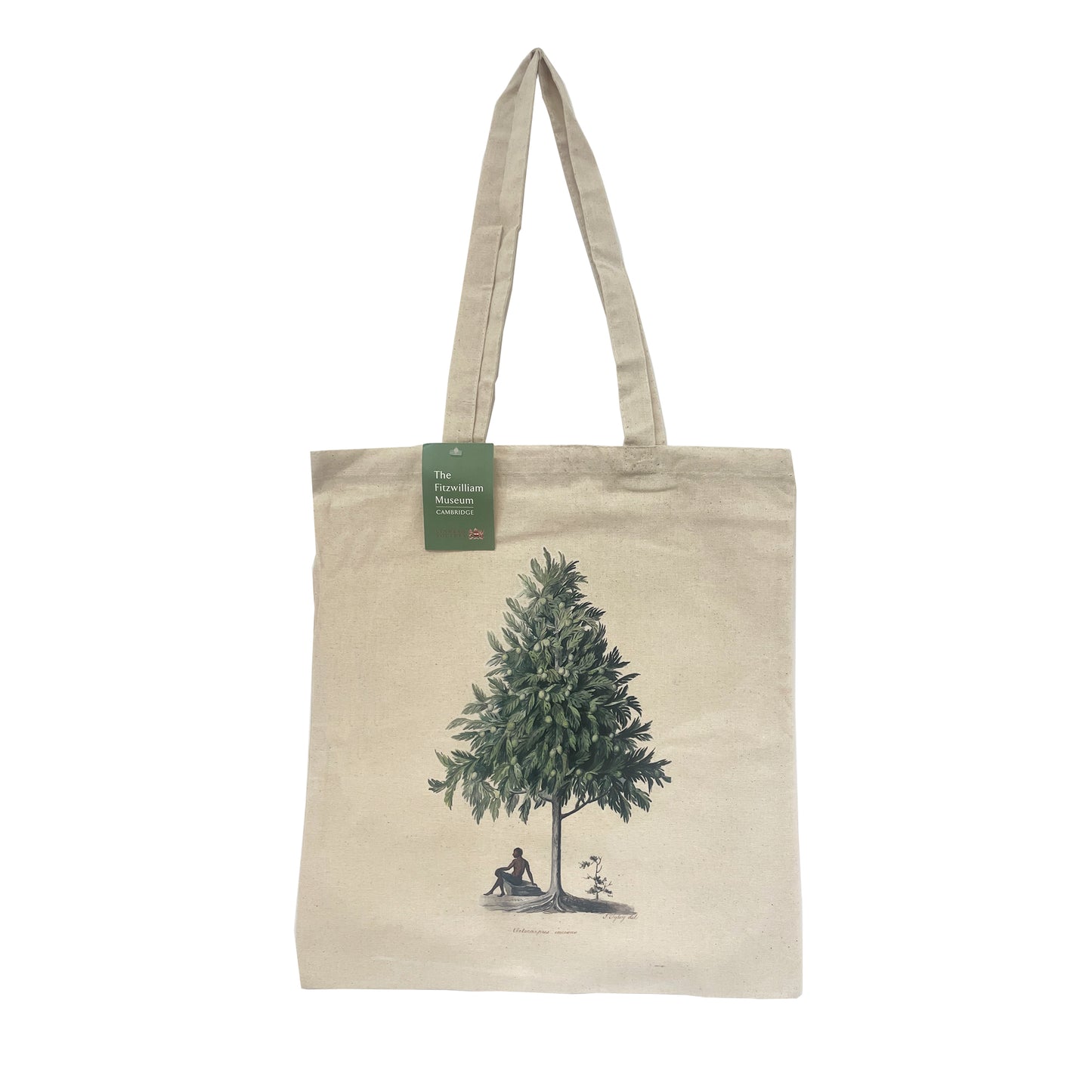 Watercolour of a Breadfruit Tree - Tote bag