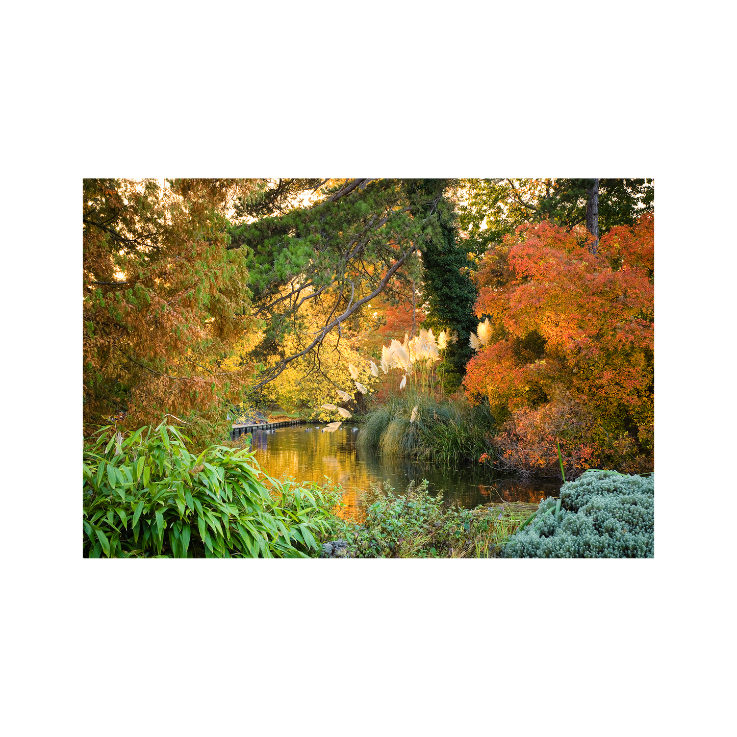 Autumn Colour by the Lake - 99 pc mini tube jigsaw