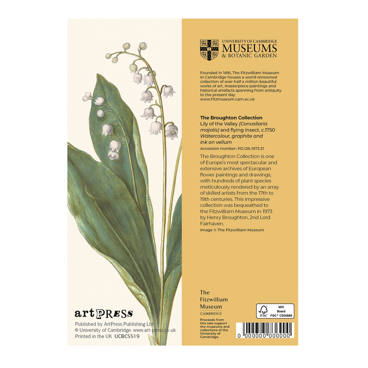 Lily of the Valley - Greeting card