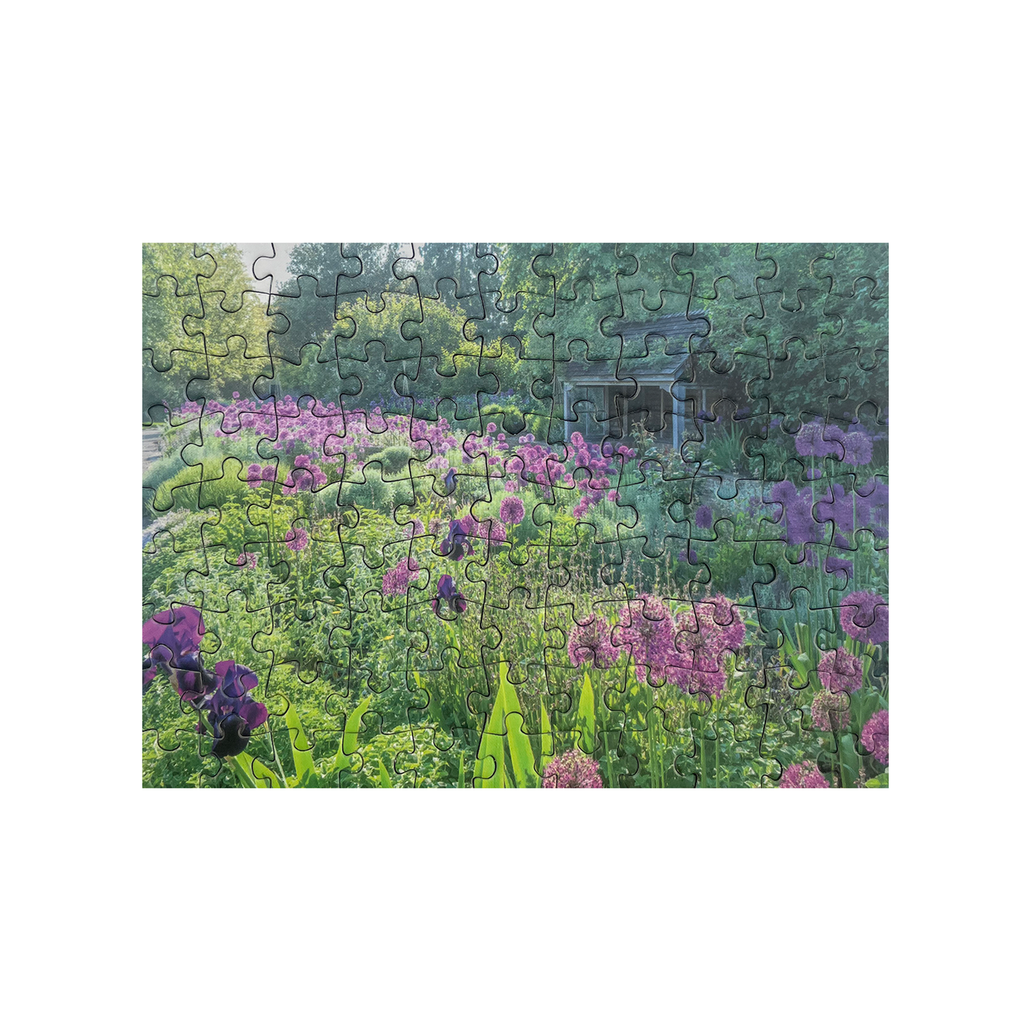 Alliums in Scented Garden in Summer - 99 pc mini tube jigsaw