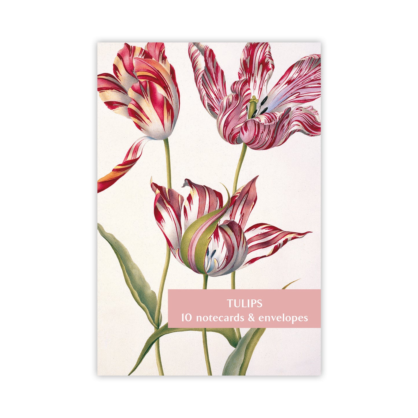 Tulips - Notecard pack