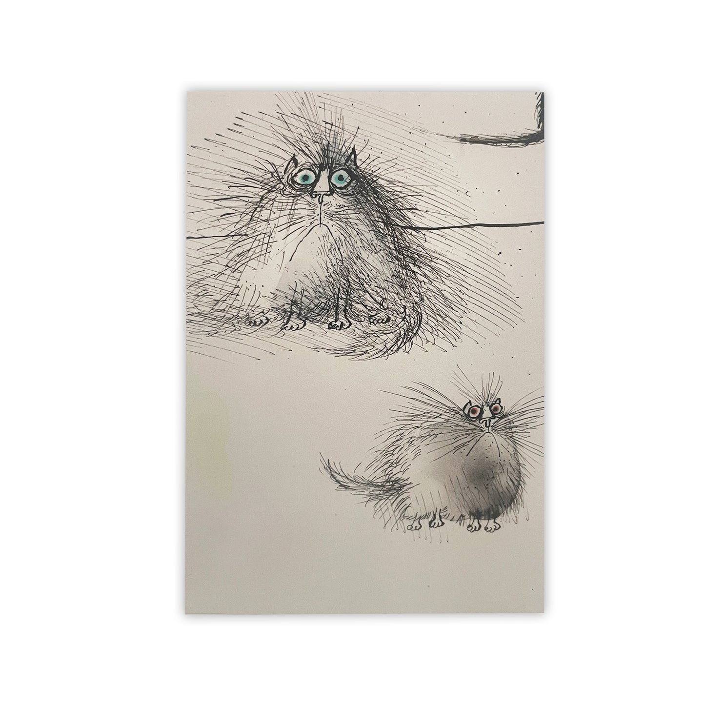 Ronald Searle's Cats - Notecard pack