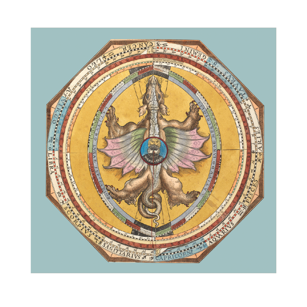Dragon plate - Greeting Card