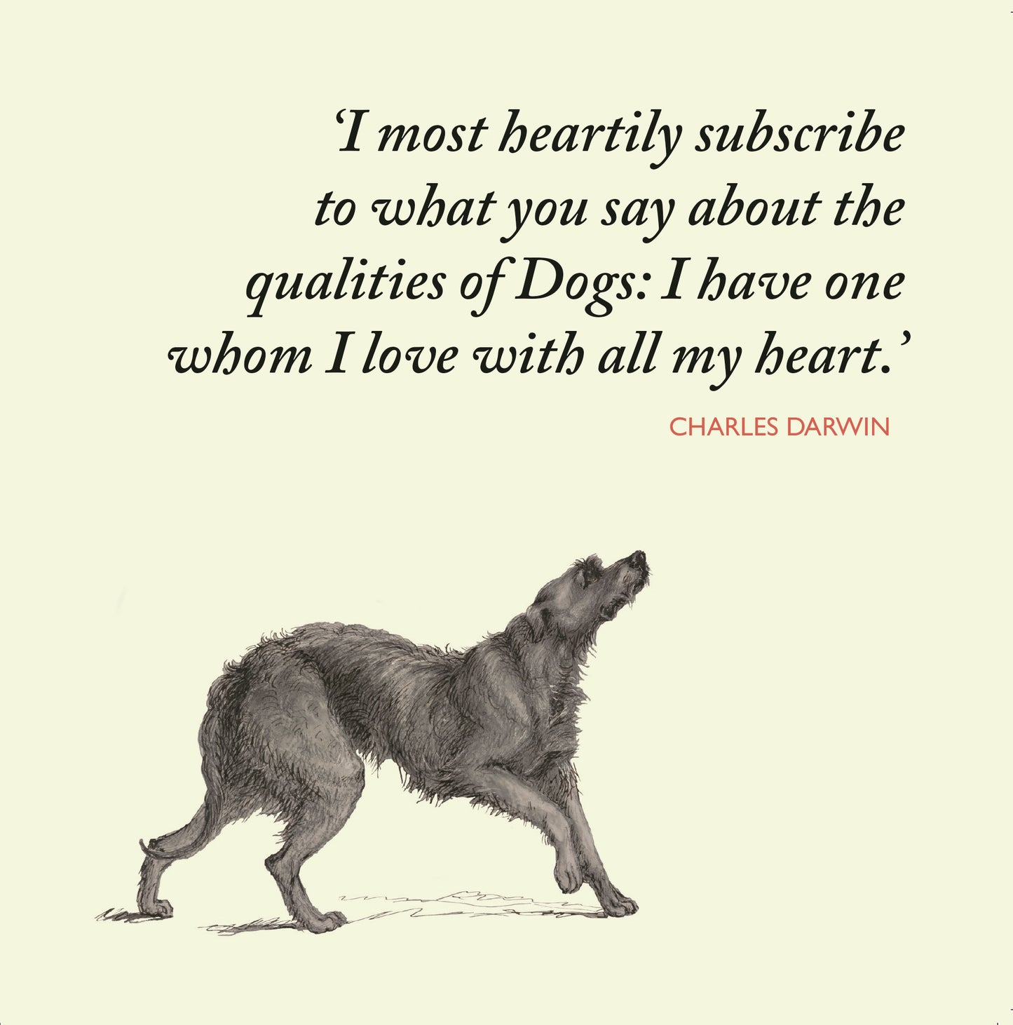 Darwin on Dogs - Greeting card