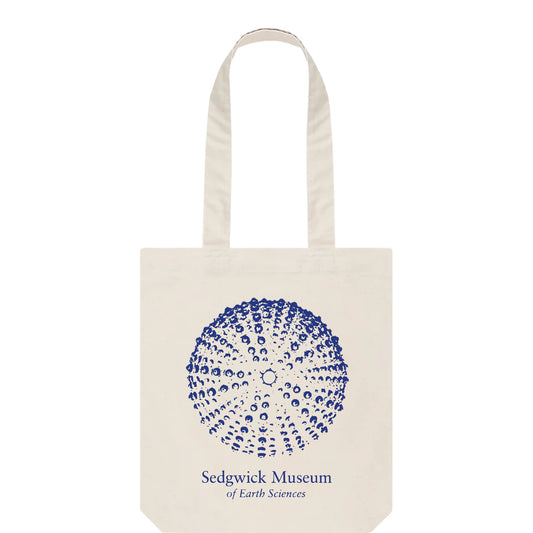 Sea Urchin - Tote bag