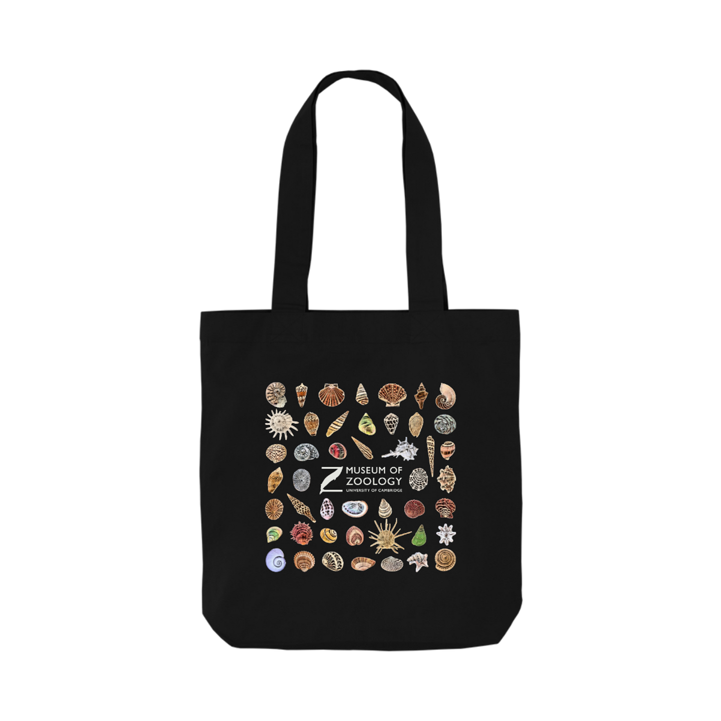 Shells - Tote bag