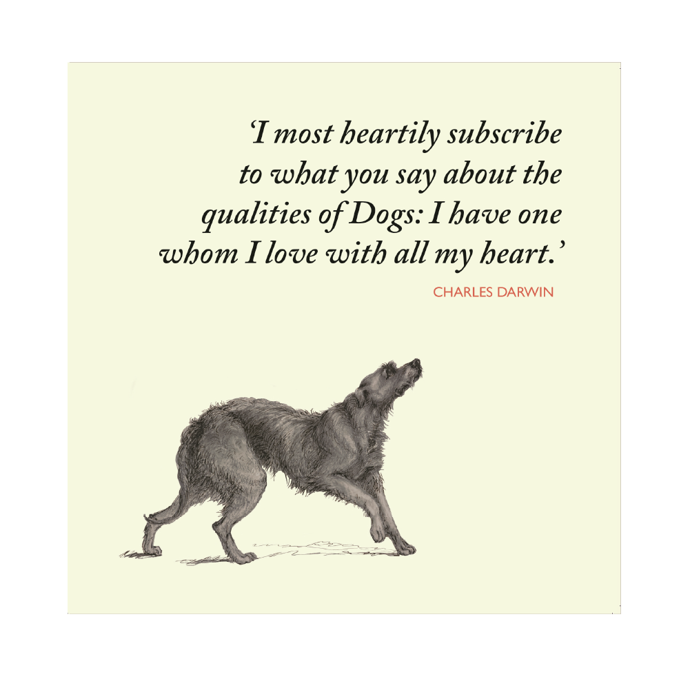 Darwin on Dogs - Greeting card