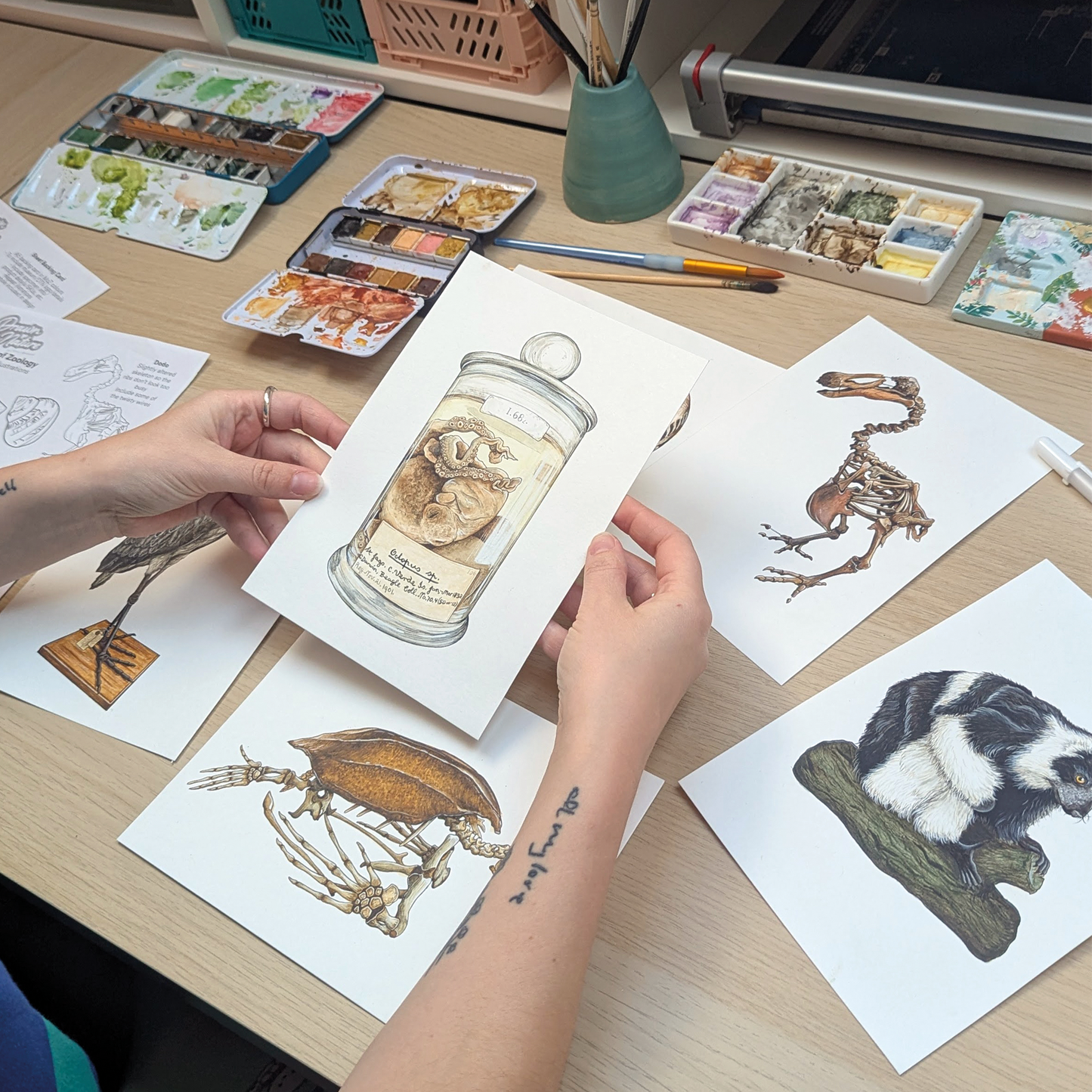 Zoology Animals - Sticker sheet